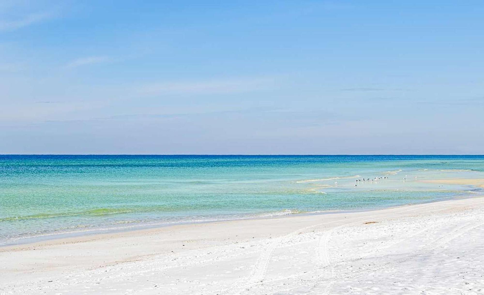 Tidewater 2308 By Emerald Coast Retreats Panama City Beach Eksteriør billede